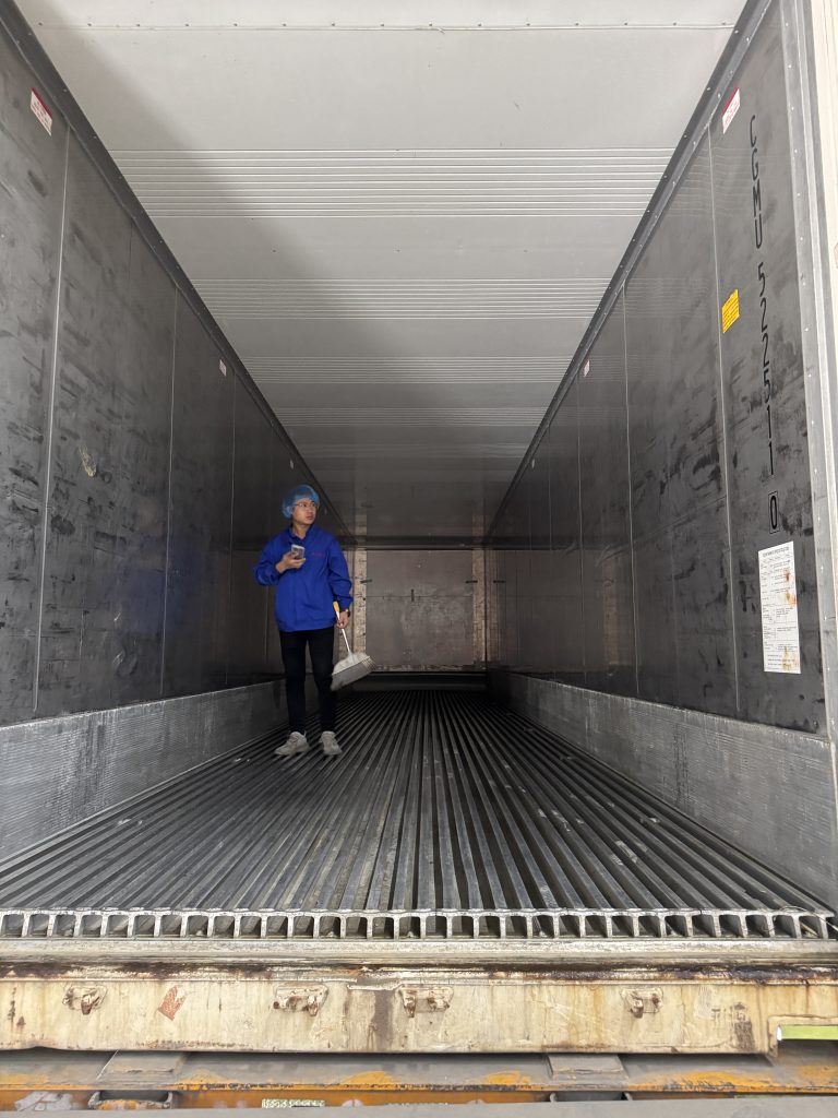 Chinese garlic container loading supervision in China before export